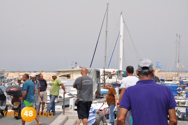 mina2yaffan51i (21).JPG